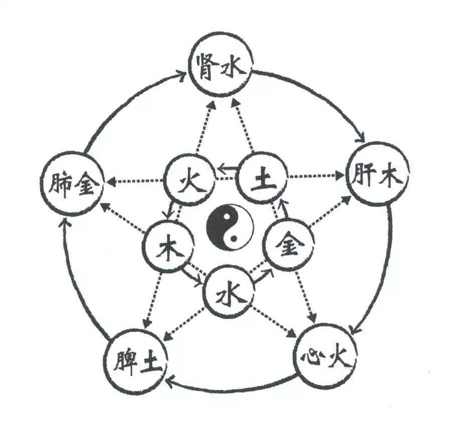 95年属相金木水火土：九五年属什么五行