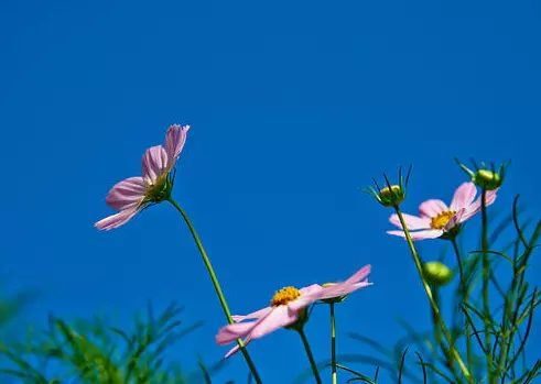 年3月13日属相：属十二生肖的年份表