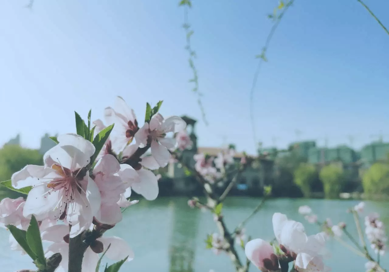 年4月3号属相：97年4月出生的小孩属什么属相