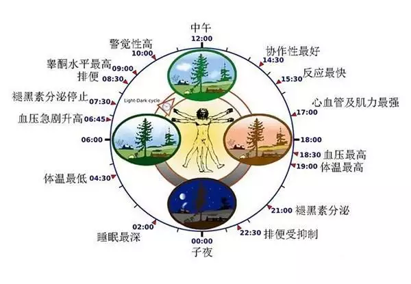 子午流注与属相的关系：十二生肖对应的方位是什么？