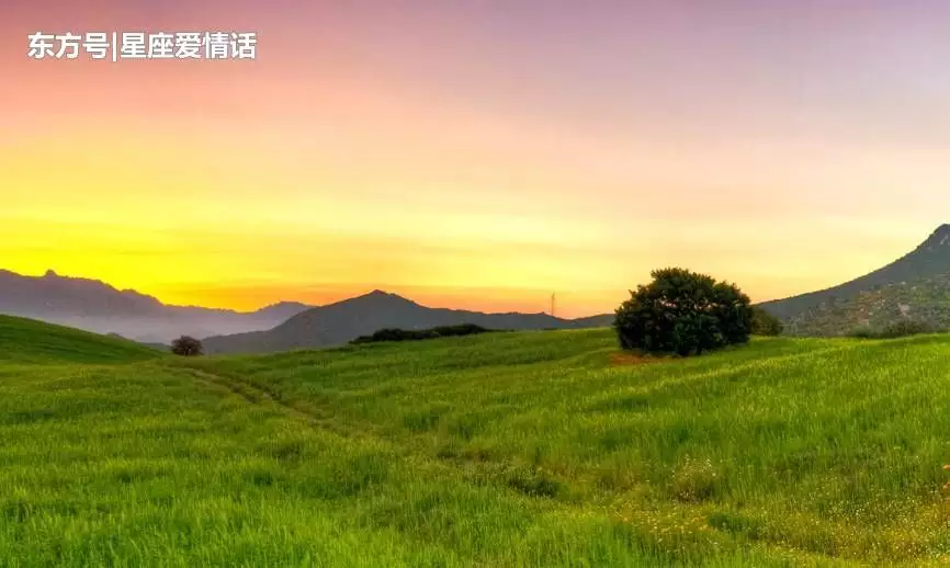 属马的今年的贵人属相：我已婚 女 属马 今天抽签抽到青龙白虎贵人签是什么意思？？？