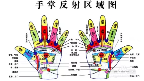 掌上观纹三条线是什么属相：掌上观纹三条线是怎么生肖