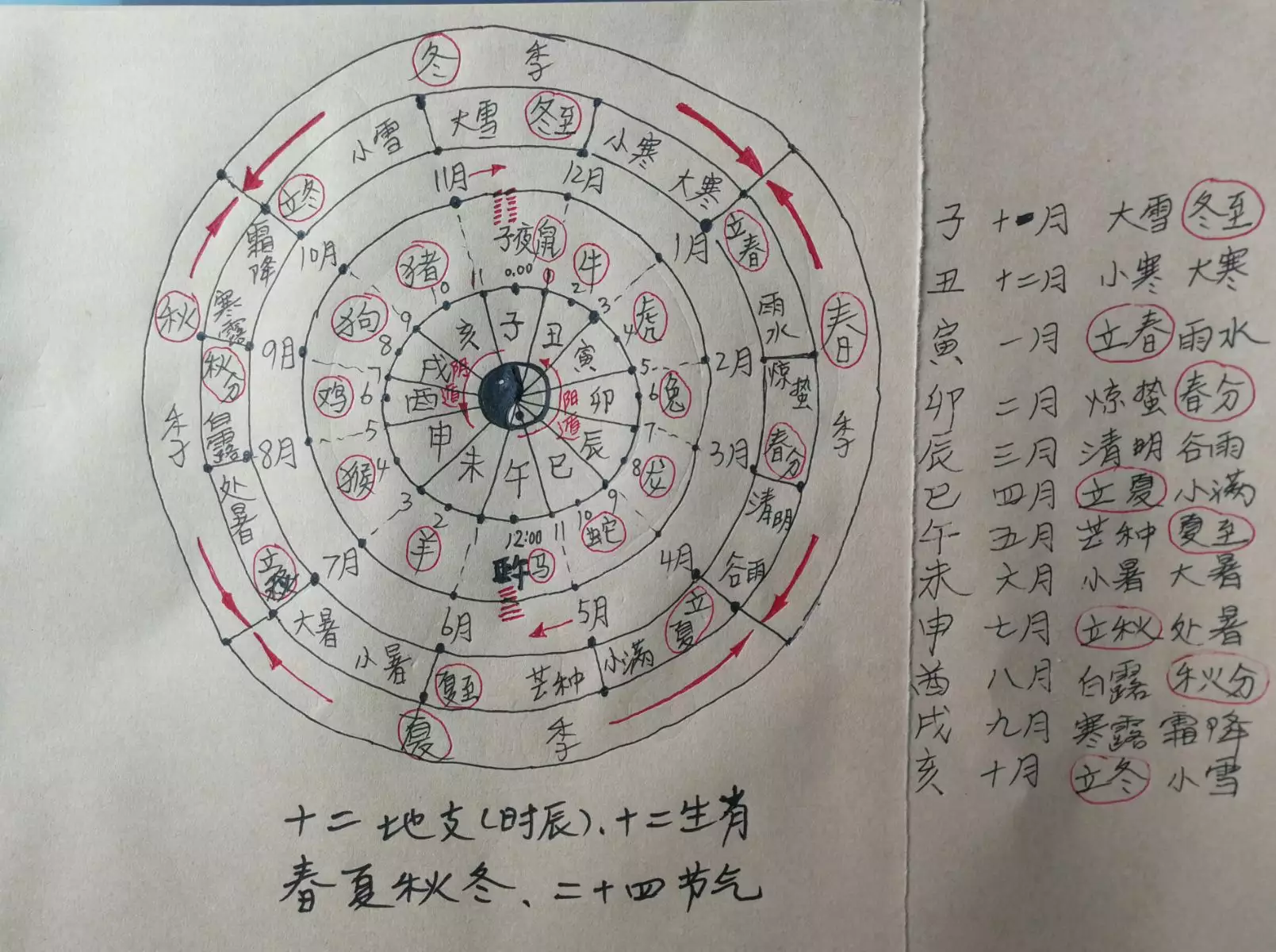 十二地支适合什么属相：12生肖哪个属相最好？