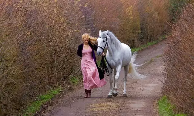 属马的人晚婚好不好：属马的人一生的命运是怎么样的