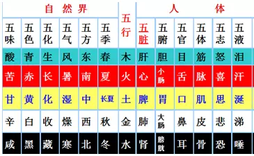 五行入门基础知识在哪里学：五行新手怎么入门？