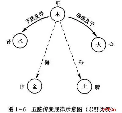 中医基础理论五行学说：五行学说的基本内容？