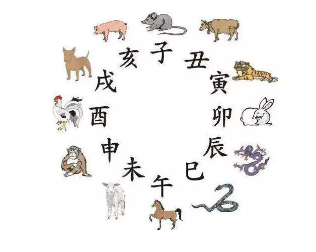 95年木猪为什么是火命：年出生是木猪命还是火猪命？命格如何？