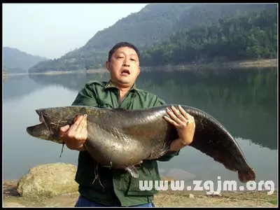 梦见捞大鱼是什么意思：梦见捞到大鱼了 周公解梦