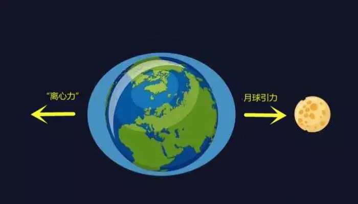 中午睡觉梦到我在水里游泳，看到女性的，还梦到男性生理，这是什么意思