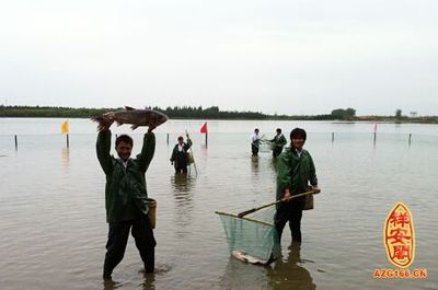 男人梦见抓鱼大难临头是什么意思：周公解梦说:男人梦见抓鱼会大难临头,是真的吗?