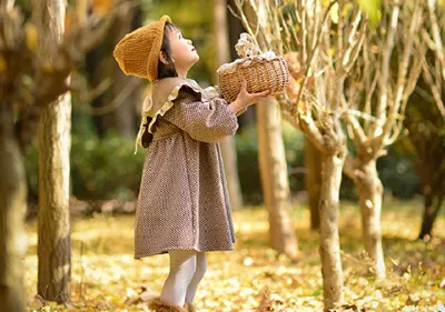 牛年牛月牛日出生的女人：年牛年出生的女人的命运之轮