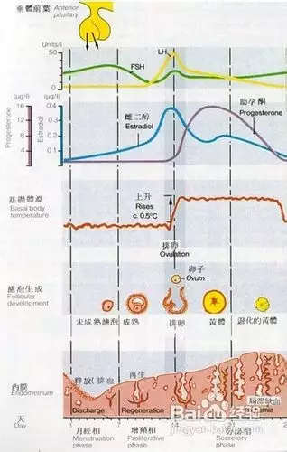 怎么算才最准确图：怎样算啊？急