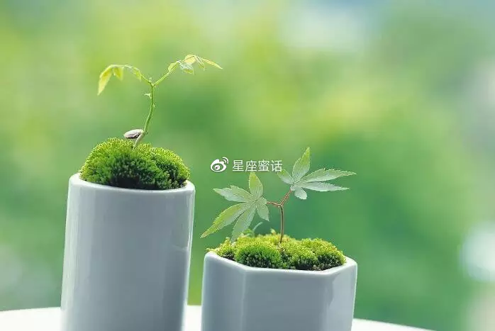 摩羯座4月运势年：5月运势,摩羯座,遇到困难能解决吗