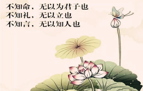 为什么学八字