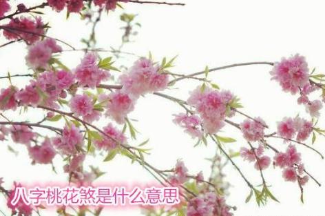 八字桃花煞是什么意思