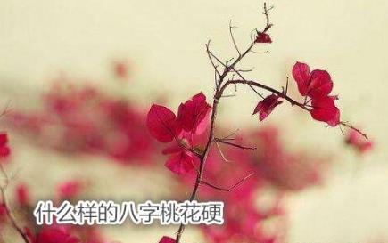 什么样的八字桃花硬