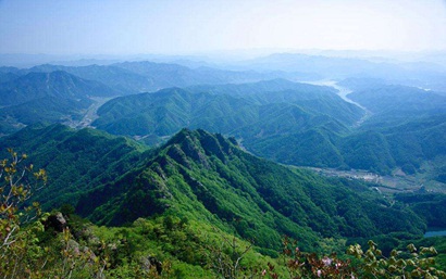 丁巳年太岁是哪一位，丁巳太岁杨彦大将军传略(图文)