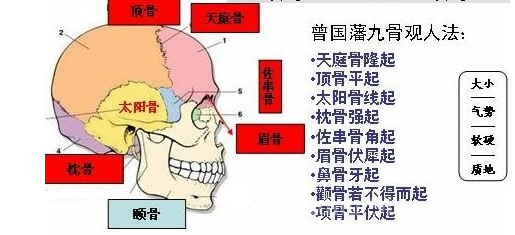 骨相面相大全,骨相与命运