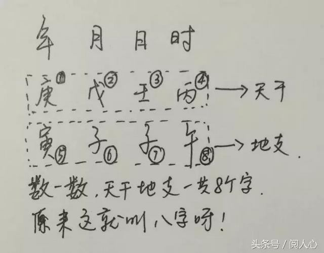 八字排盘是横排还是竖排