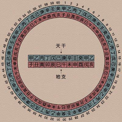 八字中月柱算日柱