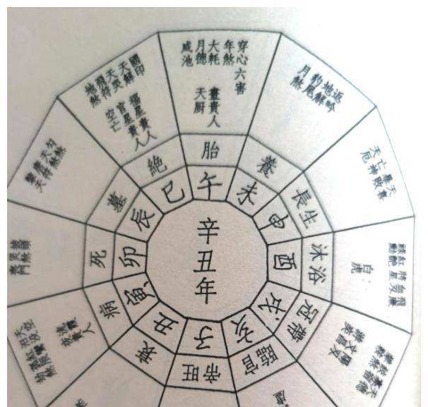 八字里损子什么意思