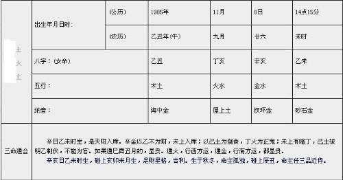 八字命盘中才是什么意思