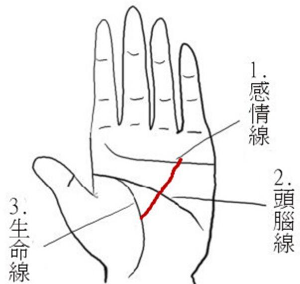 算命太阳代表什么意思是什么意思