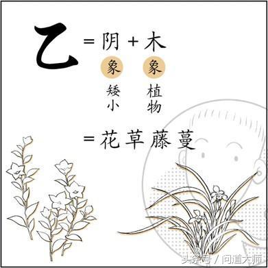 甲木酉月富贵命八字