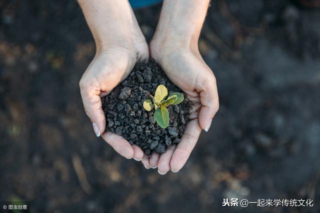 算命的土是什么意思