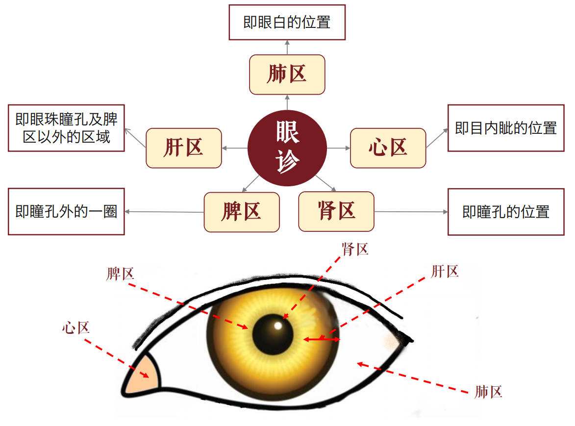 倪海厦八字批注