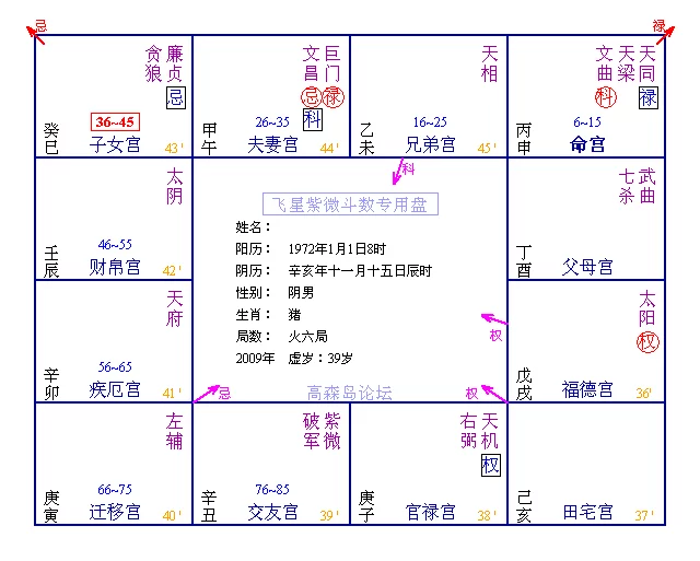 紫微斗数在线排盘，台湾紫微排盘详批免费