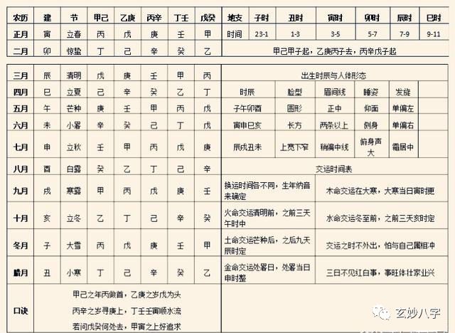 四柱八字排盘详解:zydxtop周易大学排盘网站