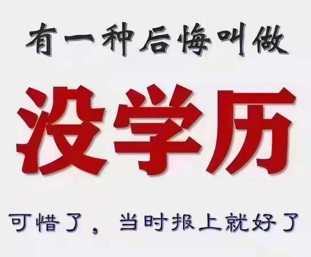 八字无印星就无学历吗