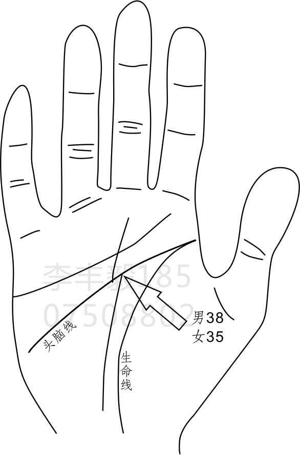 女人手相手上命运线代表什么意思