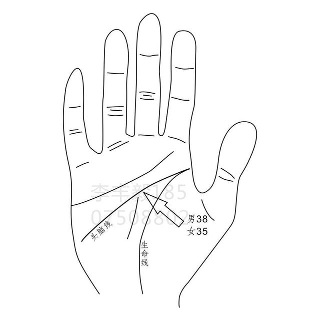 女人手相手上命运线代表什么意思