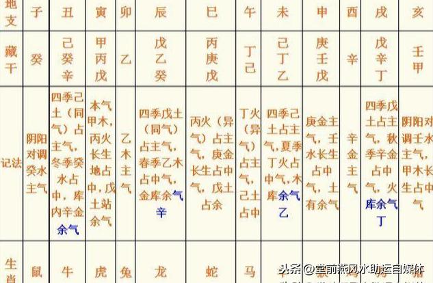 甲透壬藏的八字么意思