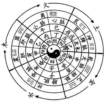 生辰八字里的金木水火土是什么意思