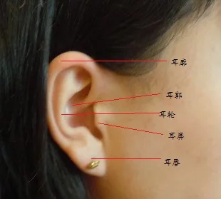 4、三种耳朵一辈子穷命:看什么样的耳朵富贵