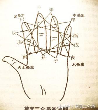 八字卯木多意象