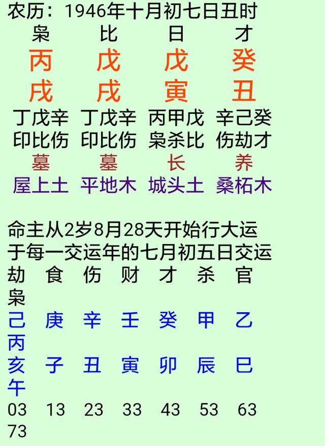 八字日元极旺什么意思