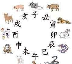 八字申亥穿代表什么