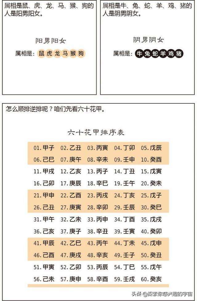 八字算命排大运杀代表什么意思的简单介绍