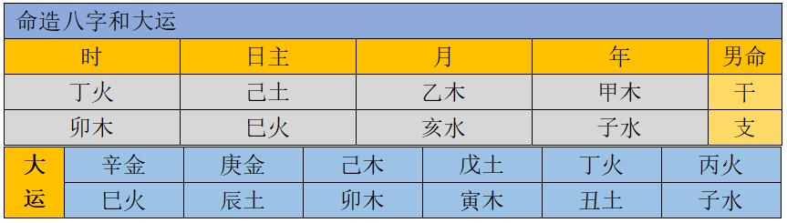 八字已巳是什么意思