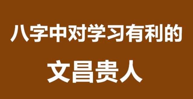 什么样的八字带文昌