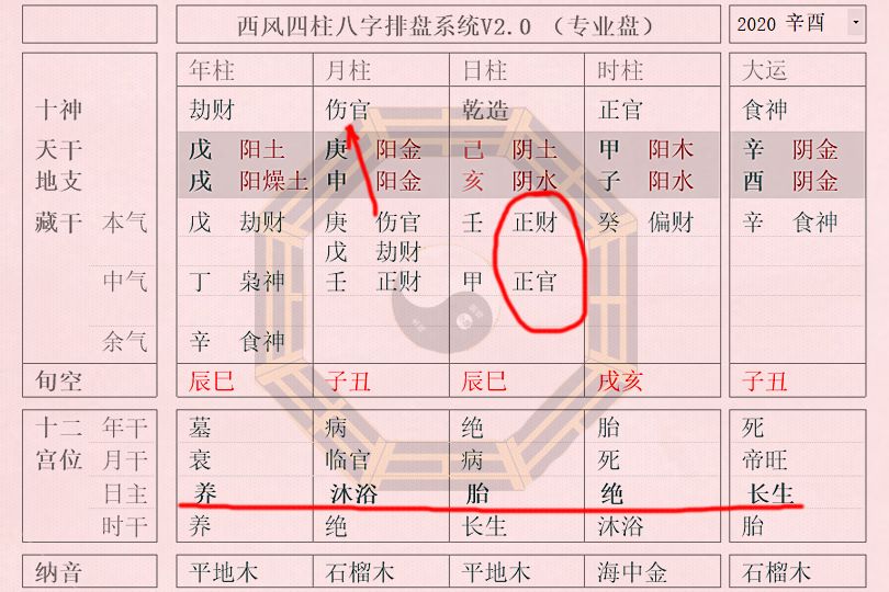 1993年4月6日生辰八字:癸酉年丙辰月丁巳日