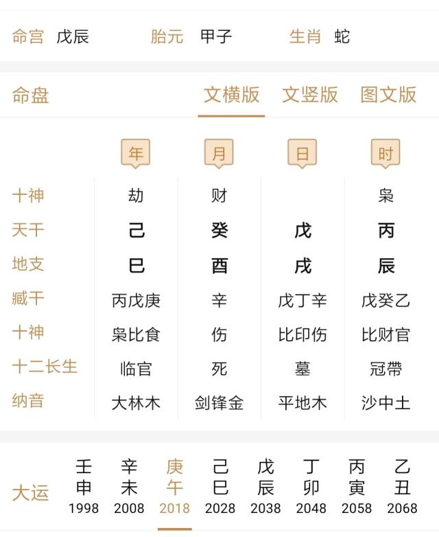 八字通根见官杀贵什么意思