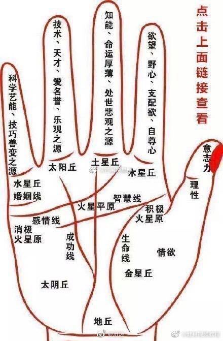 7、手相的感情线怎么看:感情线怎么看，如何看感情线，怎么通过手相看感情线