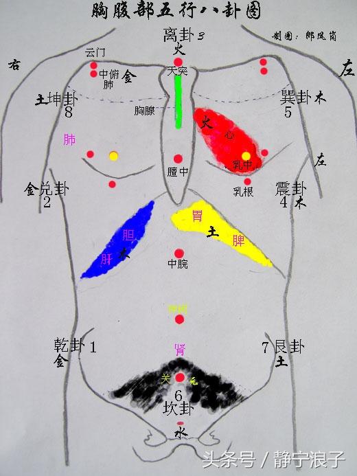 八字土多肠胃不好