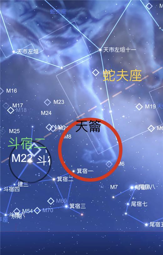 八字主星和副星