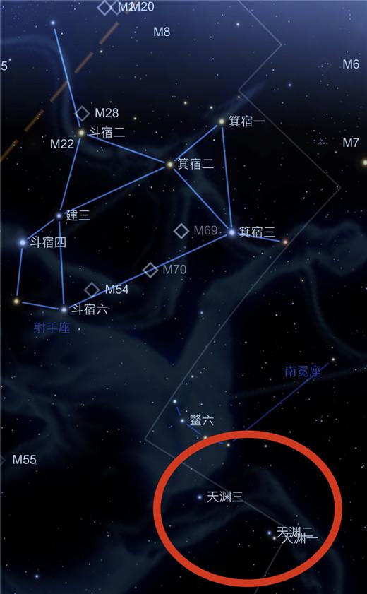 八字主星和副星